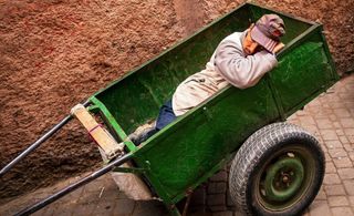 Neurocientistas revelam que sonecas podem ajudar a resolver problemas complexos