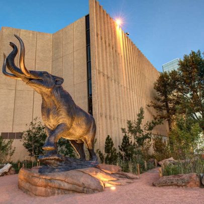 Museu encontra ossada rara de dinossauro durante obras no estacionamento