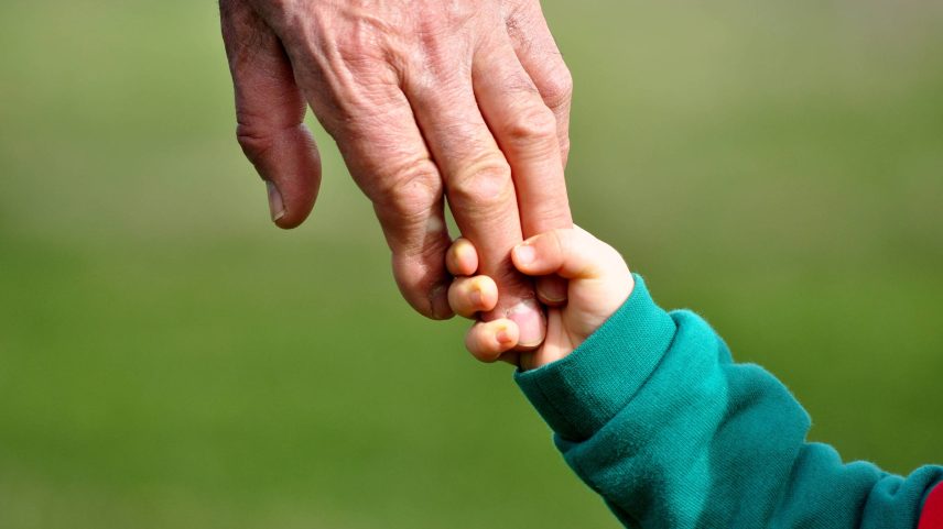 Dia dos Avós é uma data que convida à celebração do afeto, da sabedoria e dos vínculos entre gerações (Foto: mevsuf /Adobe Stock)