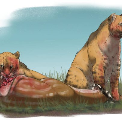 Oferta reduzida de presas provoca extinção dos tigres-dentes-de-sabre