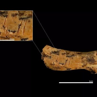 Cientistas revelam que espécie humana antiga praticava canibalismo infantil há 850 mil anos