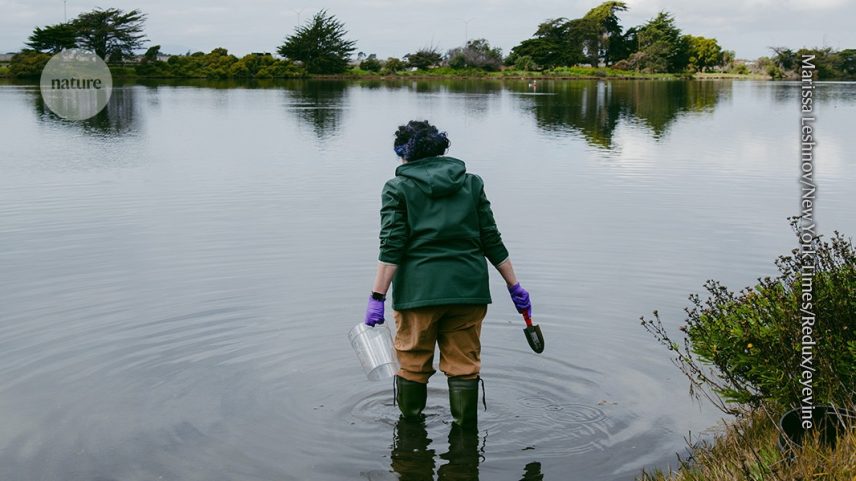 Felisa Wolfe-Simon, a autora principal do artigo sobre a "vida de arsênio" agora retratado pela Science, coleta amostras no Aquatic Park em Berkeley, Califórnia. (Foto: Marissa Leshnov/New York Times/Redux/eyevine)