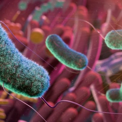 Cientistas descobrem ‘sexto sentido’ no intestino que controla o apetite