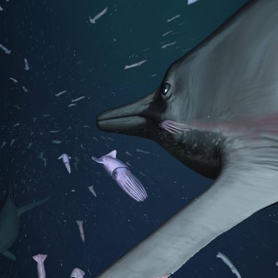 Predador jurássico usava nadadeiras para capturar suas presas com astúcia