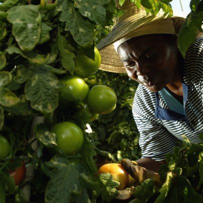 Desemprego feminino no campo atinge menor taxa desde 2015, revela pesquisa