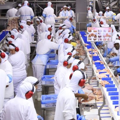 GTFoods destina R$ 180 milhões para nova fábrica e amplia sua produção