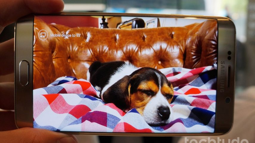 Cachorro ou gato reconhece sua voz pelo celular? Veja o que diz a ciência (Foto: Thássius Veloso/TechTudo)