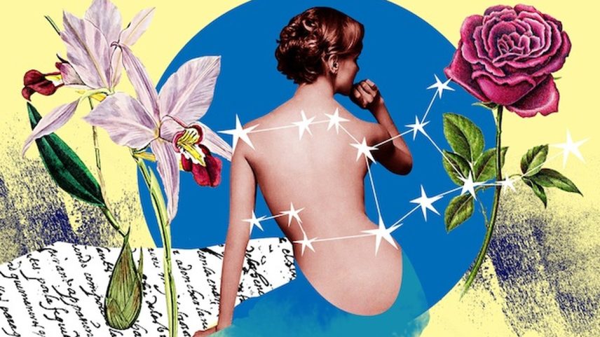 Signo de Virgem (Foto: Ilustração André Mello)