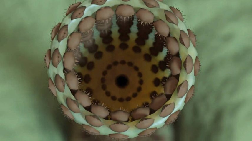 Como seria o aparato faríngeo de um espécime de Kraytdraco spectatus. O verme faz parte de um quarteto de animais pré-históricos cujos restos foram descobertos no Grand Canyon, nos EUA (Foto: Rhydian Evans)