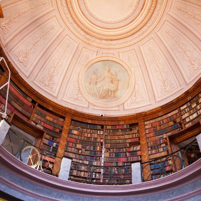 Besouros ameaçam destruir 100 mil livros históricos em biblioteca milenar