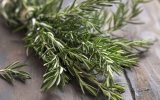 Ferver alecrim transforma o ambiente da sua casa com uma dica da vovó