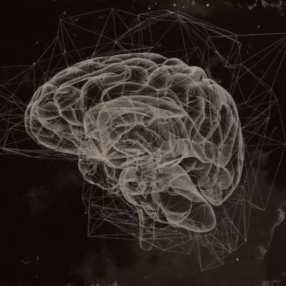 Pesquisa revela proteína cerebral que pode impulsionar a regeneração de nervos