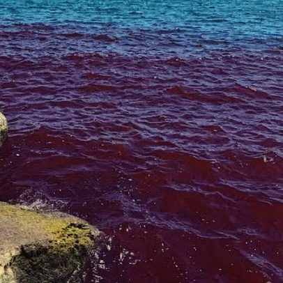 Mar da Galileia se torna vermelho e causa preocupação entre moradores e cientistas
