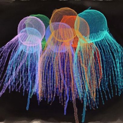 Cinco organismos simples revelam como a vida se tornou multicelular