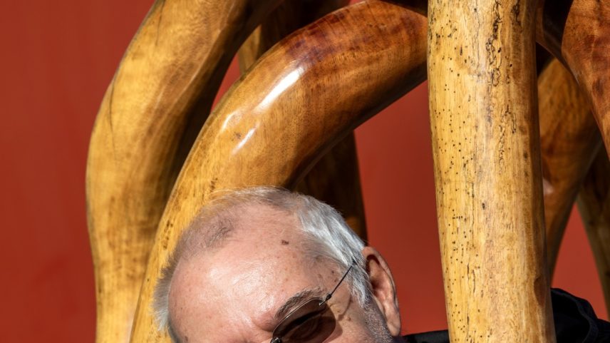 O escultor Hugo França produz um mobiliário escultórico — Foto: Ana Branco