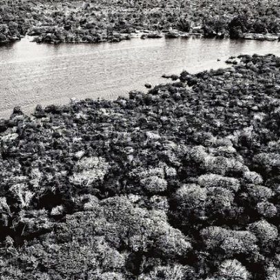 COP30: Brasil deve avançar com a Declaração de Belém para resultados positivos