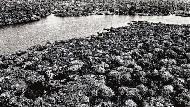 Foto: Fabio Rodrigues-Pozzebom/Agência Brasil