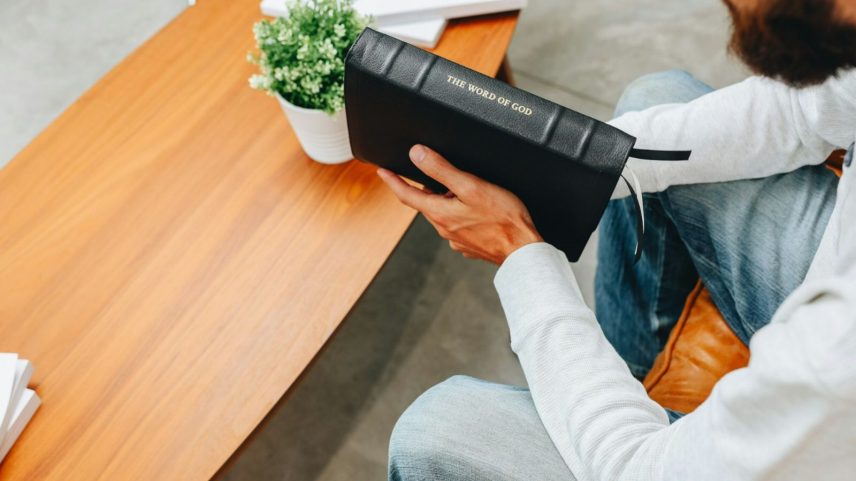 Imagem Ilustrativa. (Foto: Reprodução/Unsplash/Humble Lamb)