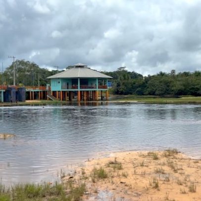 Câmaras climáticas revelam riscos à saúde dos igarapés na Amazônia