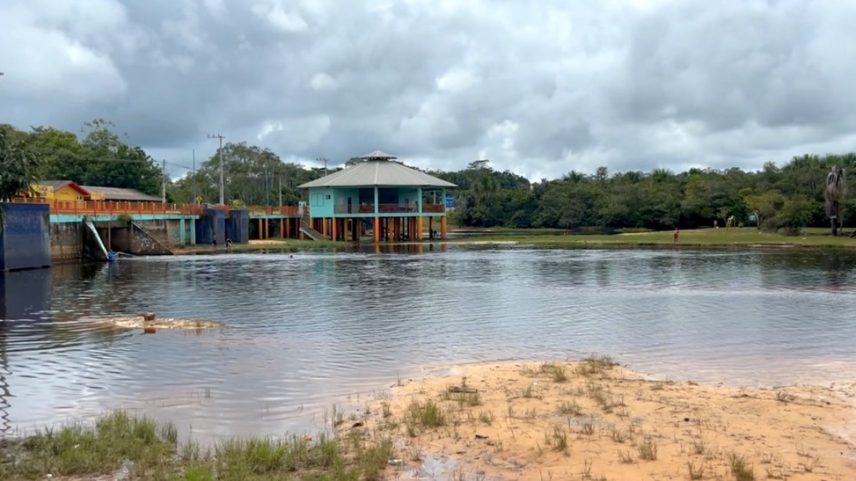 Com menos fungos, há uma menor decomposição dos igarapés, o que significa menos nutrientes disponíveis na água. (Foto: Carla Carvalho/Rede Amazônica)