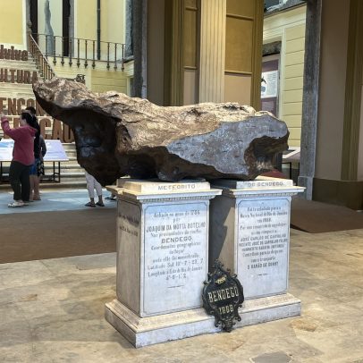 Museu Nacional atrai mais de dez mil visitantes na exposição ‘Entre gigantes’