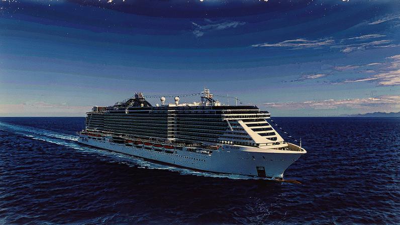 Navio MSC Seaview (Foto: Ivan Sarfatti/Divulgação)