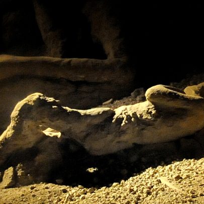 Pompeia é reabitada após erupção, revelam descobertas arqueológicas