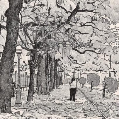 Amendoeiras florescem fora de época e coloram ruas do Rio de vermelho