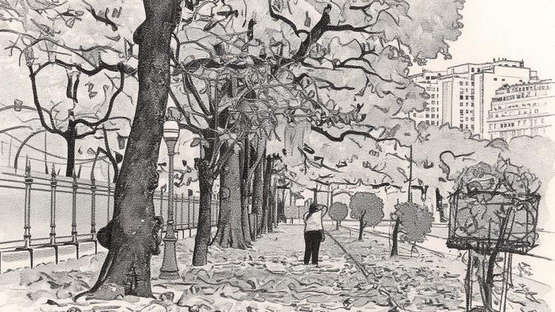 Praça Paris, na Glória: multicolorida com as folhas das amendoeiras — Foto: Márcia Foletto