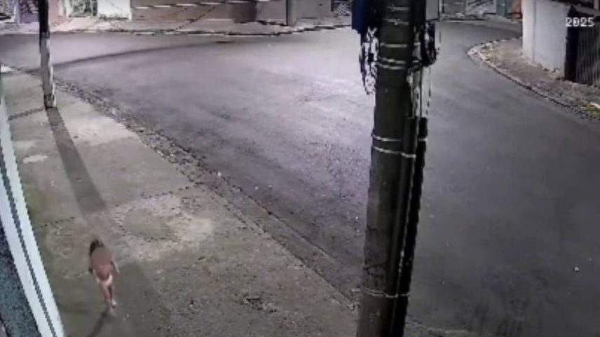 Menina de 3 anos andando sozinha na rua depois de ser deixada sozinha em casa; mãe foi a baile funk (Foto: Reprodução)