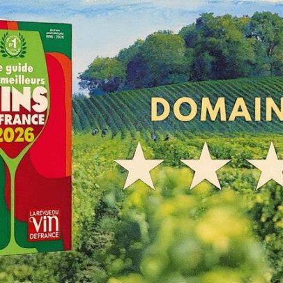 Conheça os melhores vinhos da França em 2026 com os domínios quatro estrelas