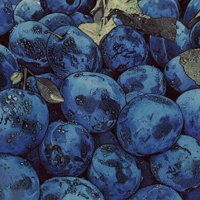 Alimento conhecido como 'ouro negro' é poderoso antioxidante e fortalece ossos