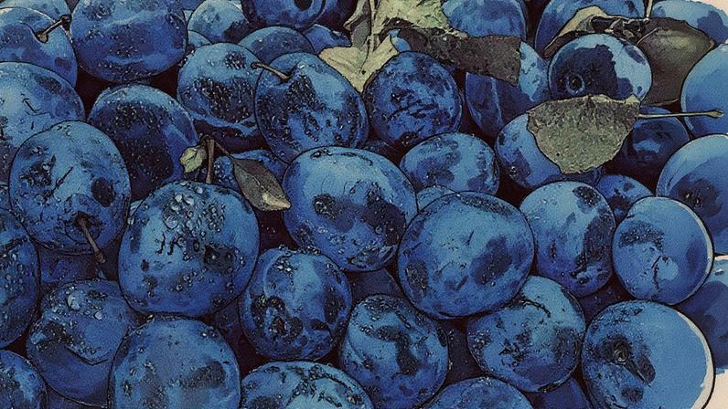 Ameixas secas oferecem uma ampla variedade de benefícios (Foto: Freepik)