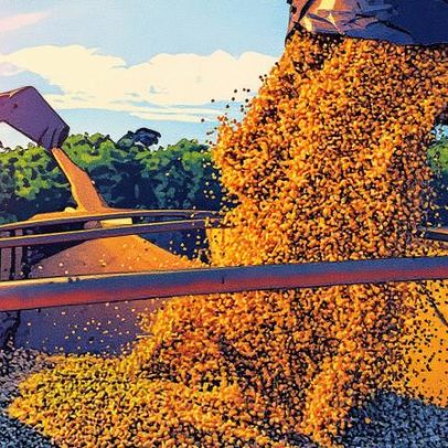 China amplia importações e compra soja da Argentina após isenção de tarifas