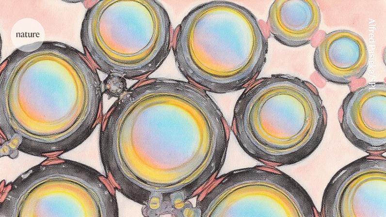 Glóbulos de ácido folínico, também conhecido como leucovorina, promovidos como intervenção para o autismo (Foto: Reprodução)