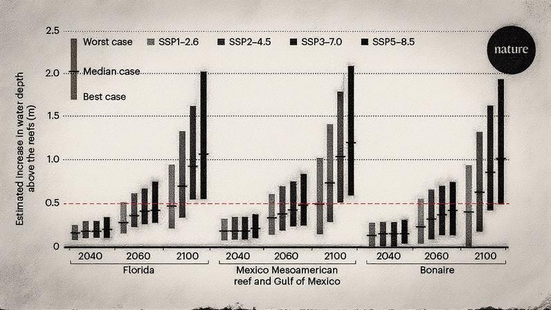 Taxas projetadas de crescimento de recifes de coral e aumento do nível do mar sob diferentes cenários climáticos, com destaque para a linha vermelha tracejada que indica um aumento de 0,5 metros, um limiar crítico para áreas costeiras (Foto: Reprodução)