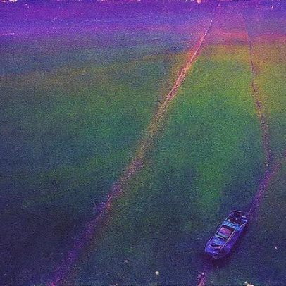 Lechuga acuática ameaça El Cerrón Grande, maior reservatório de El Salvador