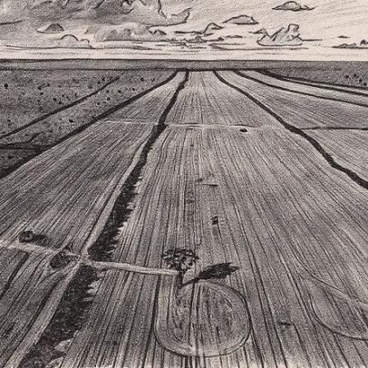 Cerrado sofre com golpes impunes que ameaçam sua preservação ambiental