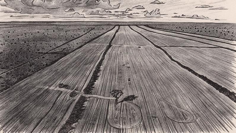 Área recém desmatada de cerrado na divisa com a Estação Ecológica Serra Geral do Tocantins, na região do Jalapão (Foto: Reprodução)