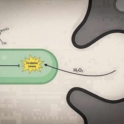 Vitamina C revela novo mecanismo de resistência em bactérias patogênicas