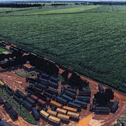 Soja tem queda em 2022, mas ainda representa um terço da produção agro no Brasil