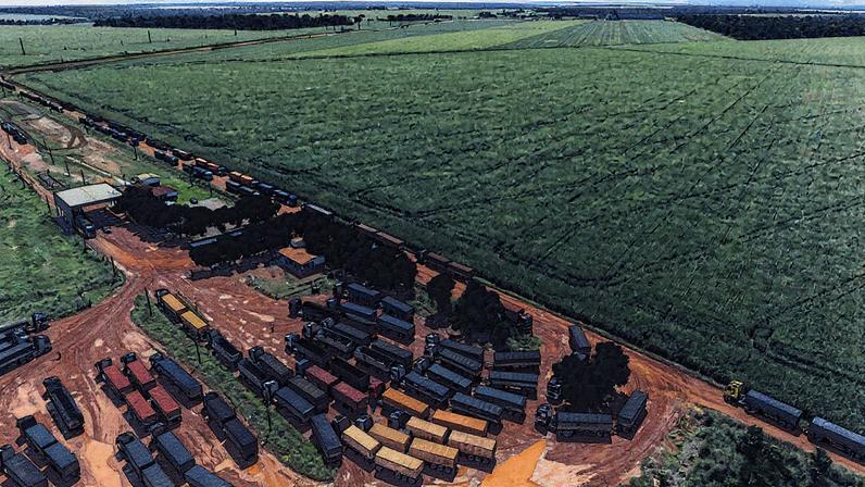 Caminhões aguardam para carregar soja em armazém às margens da BR-163, próximo a Sinop (MT) (Foto: Reprodução)