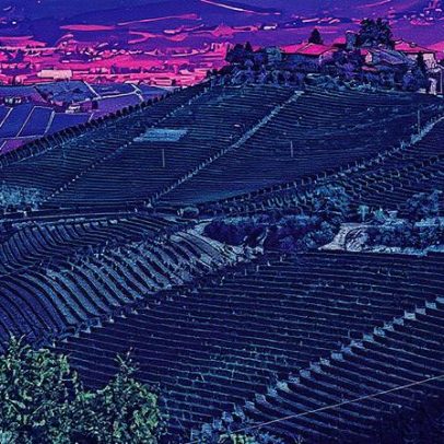 Chuva e granizo comprometem colheita de uvas em Barolo