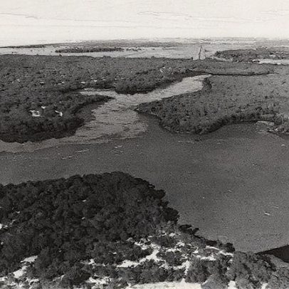 Algas invadem lagoa no Espírito Santo e revelam problemas de poluição