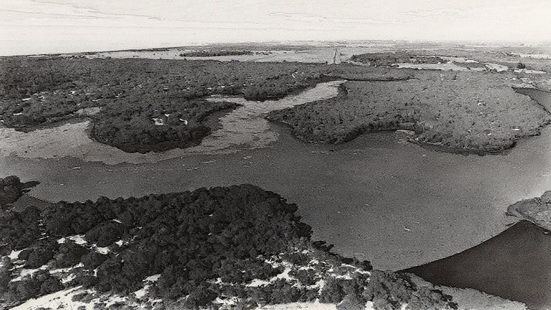 Algas se proliferam e cobrem a lagoa de Itapemirim, no Espírito Santo (Foto: Reprodução)