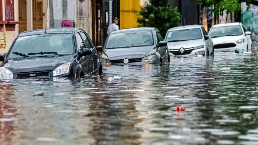 Árvore caída em rua ao lado do edifício Matarazzo, sede da Prefeitura de São Paulo (Foto: Reprodução)