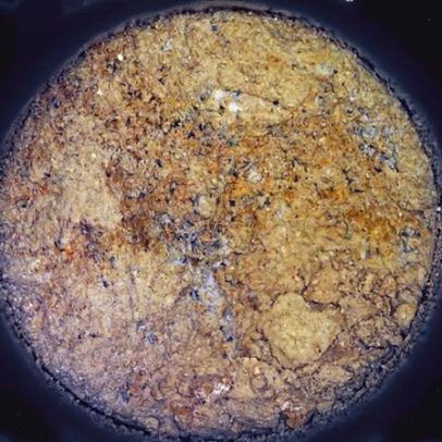 Cientistas da NASA descobrem possíveis vestígios de vida em Marte