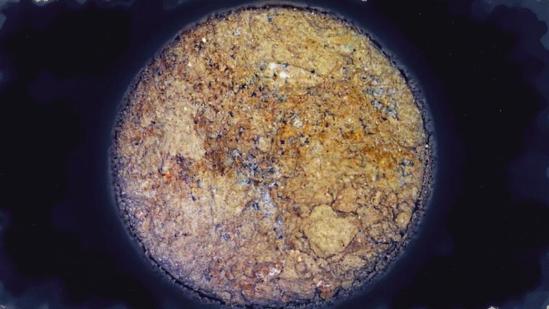 Imagem de uma amostra coletada pela sonda 'Perseverance' em Marte, com possíveis vestígios de vida (Foto: Reprodução)