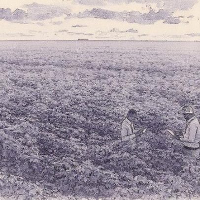 SLC Agrícola inicia maior projeto de medição de carbono no agronegócio brasileiro