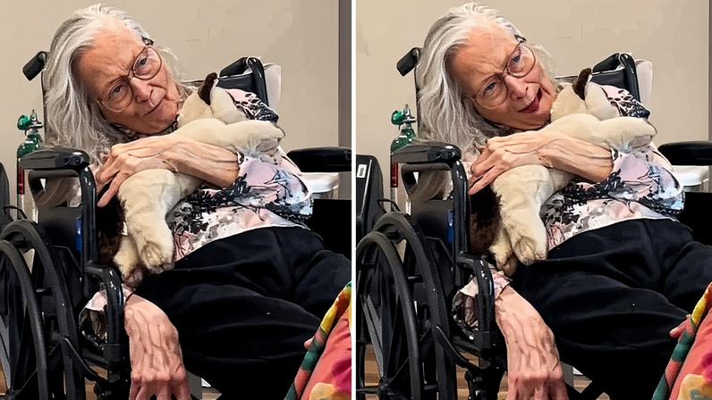 A idosa testemunhando sobre Jesus. (Foto: Reprodução/Instagram/Emily Reynolds)